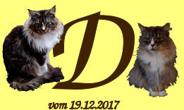 D vom 19.12.2017